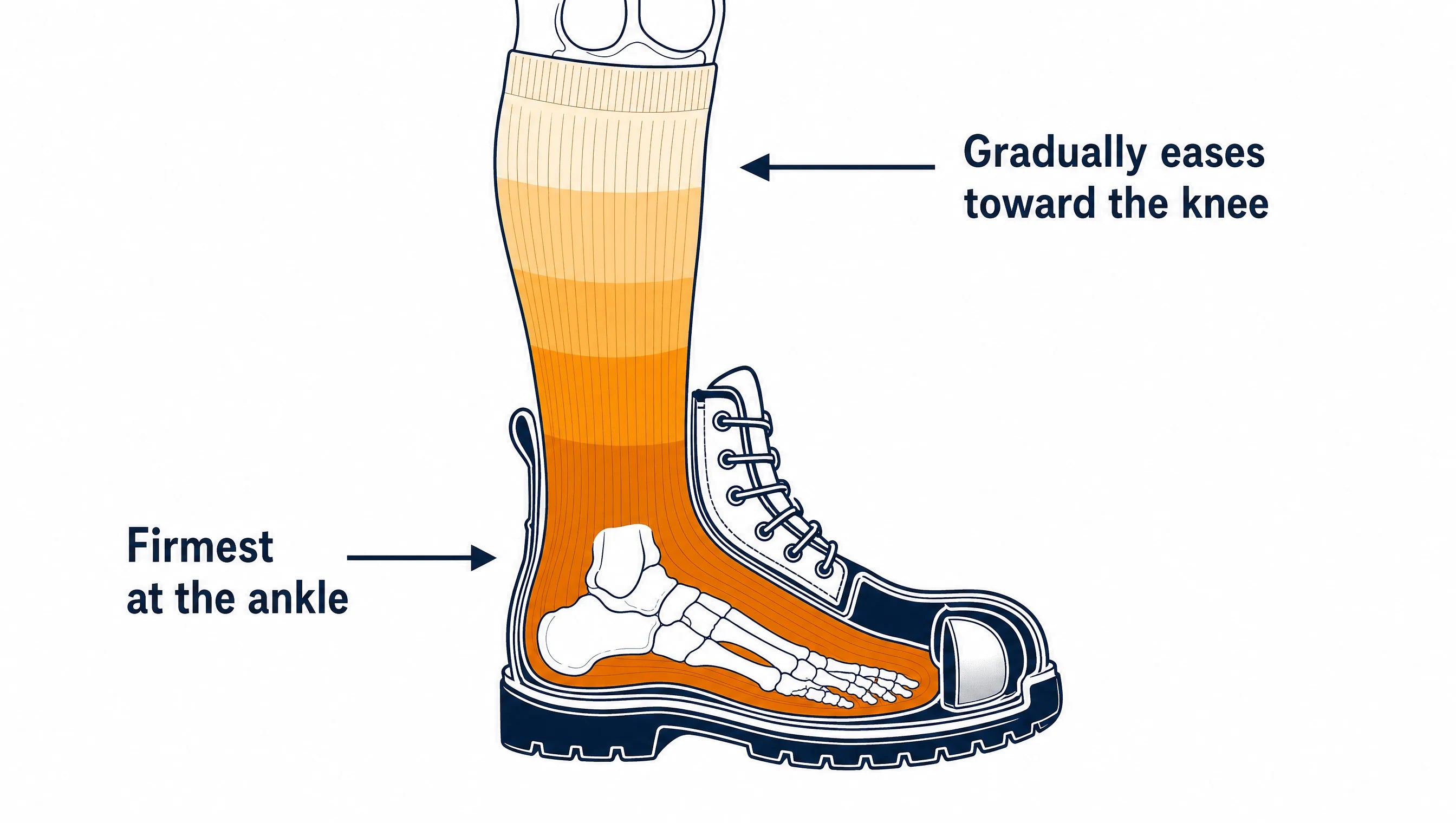 ShiftForce™ graduated compression, firmest at ankle, eases toward knee, inside steel-toe work boot